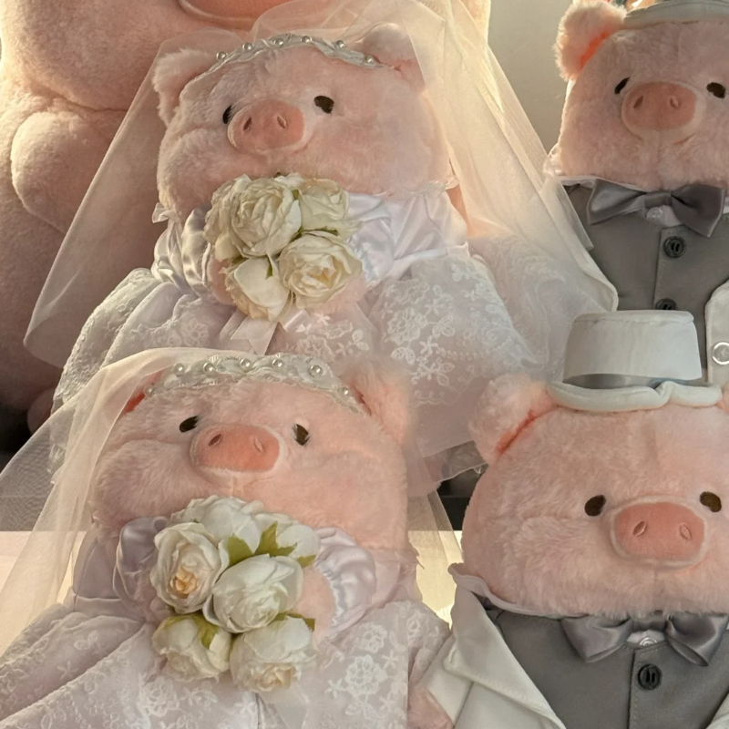Lulu Das Schweinchen in Dosen, – Wedding Lulu Bewertung und Preis